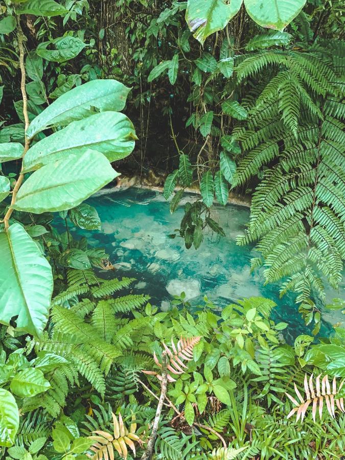 Oski Lodge, Rain Forest Rincon De La Vieja Упала Экстерьер фото