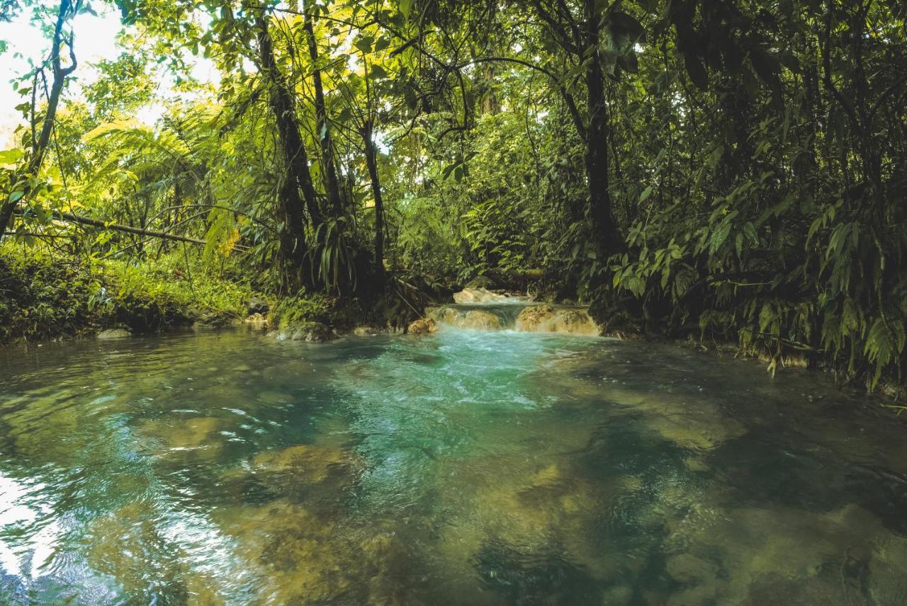 Oski Lodge, Rain Forest Rincon De La Vieja Упала Экстерьер фото