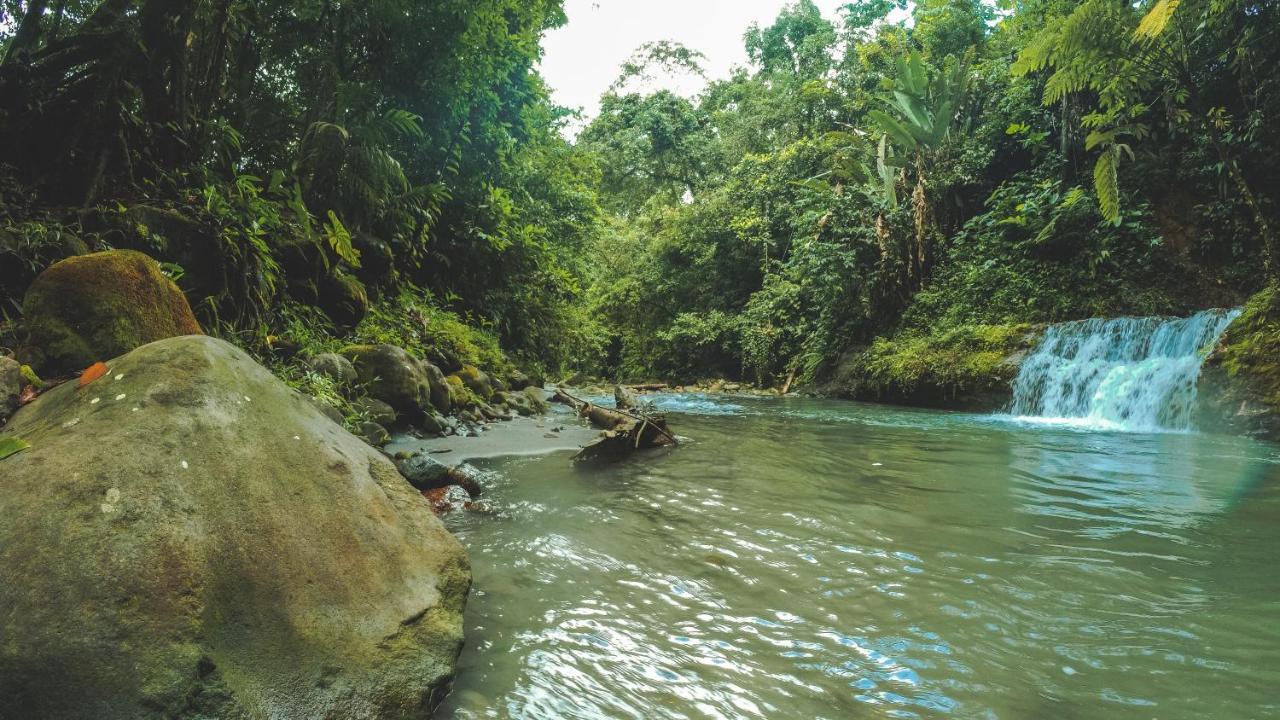 Oski Lodge, Rain Forest Rincon De La Vieja Упала Экстерьер фото