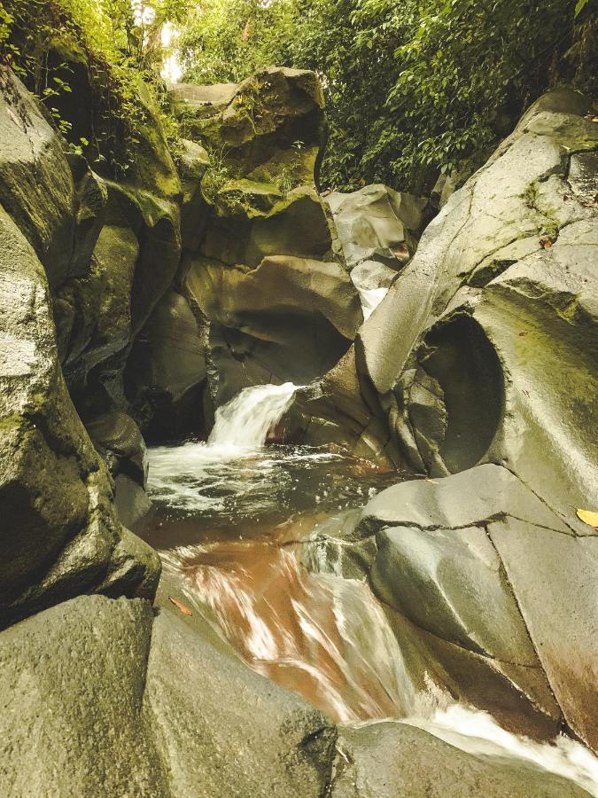 Oski Lodge, Rain Forest Rincon De La Vieja Упала Экстерьер фото