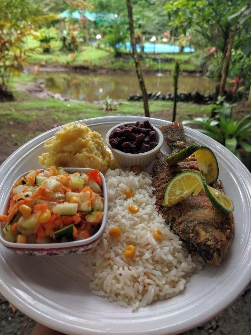 Oski Lodge, Rain Forest Rincon De La Vieja Упала Экстерьер фото