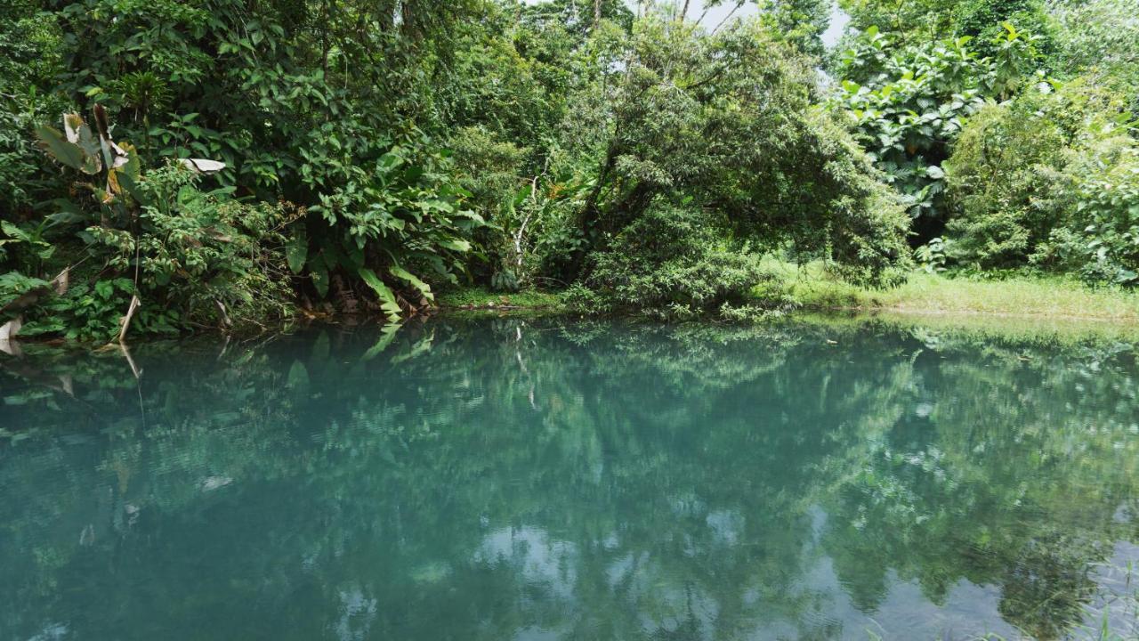 Oski Lodge, Rain Forest Rincon De La Vieja Упала Экстерьер фото